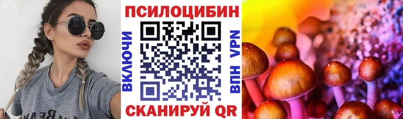 Галлюциногенные грибы прущие грибы  Купить где  Осташков 